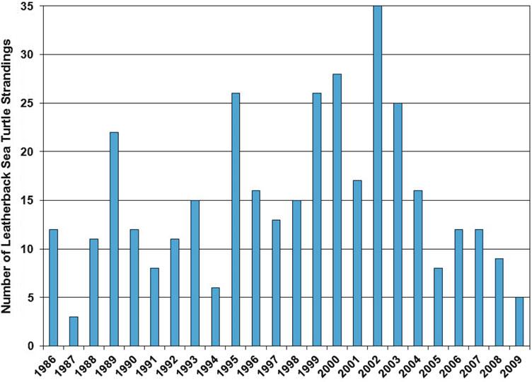 1306 R.A. Valverde and K. Rouse Holzwart Figure 11.67. Number of reported leatherback sea turtle strandings (both live and dead turtles) on U.S.