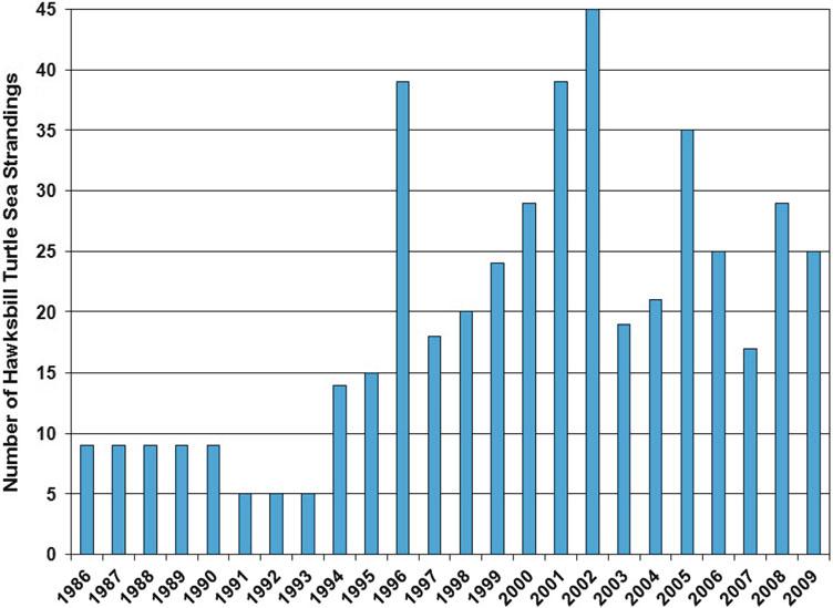 Sea Turtles of the Gulf of Mexico 1309 Figure 11.72. Number of reported hawksbill sea turtle strandings (both live and dead turtles) on U.S. Gulf of Mexico beaches from 1986 through 2009 (from STSSN 2012).
