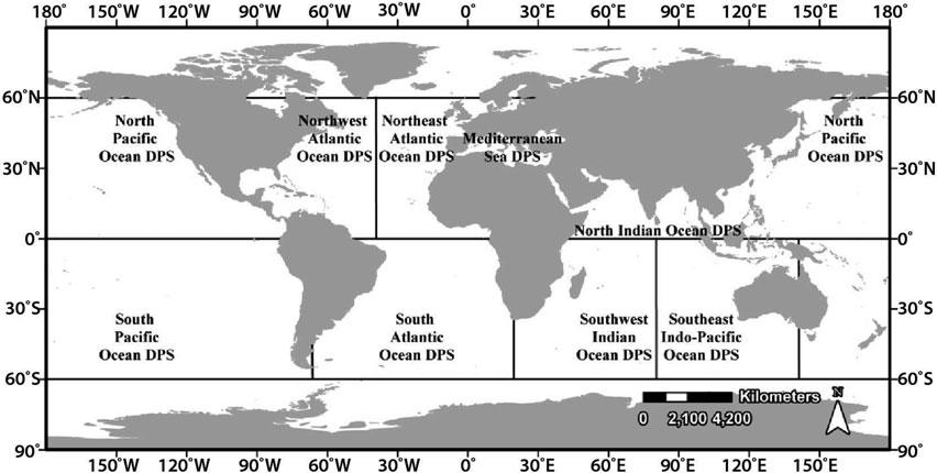 Sea Turtles of the Gulf of Mexico 1201 the 1995 5-year status review and the 2007 joint review completed by the NMFS and USFWS indicated that loggerhead populations might be separated by ocean