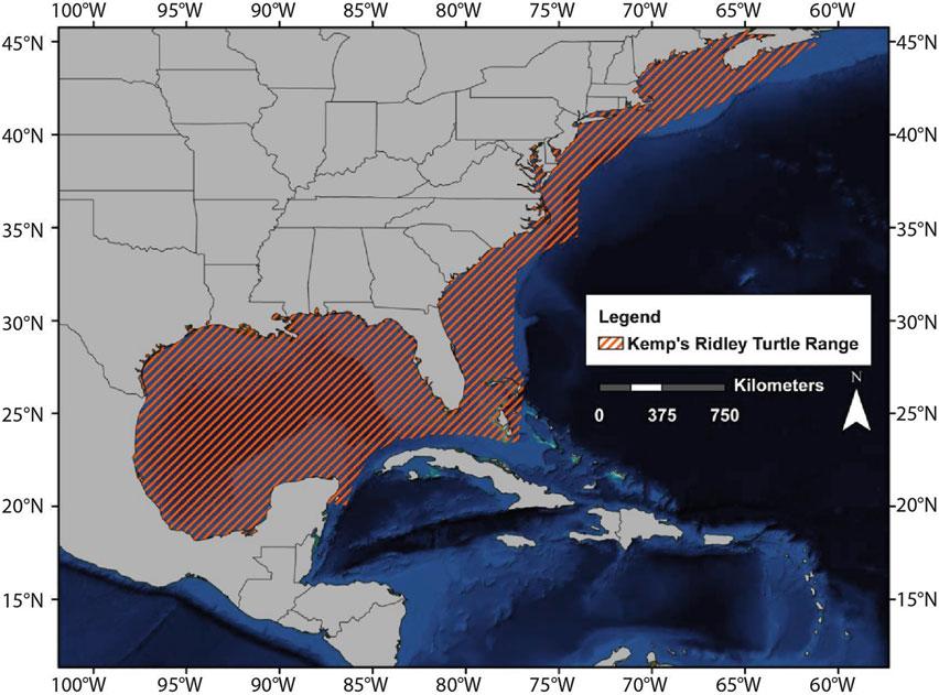 Sea Turtles of the Gulf of Mexico 1205 Figure 11.9. Range of the Kemp s ridley sea turtle (from NOAA 2007). leave the beach as hatchlings (Collard and Ogren 1990; TEWG 2000; Putman et al. 2010).