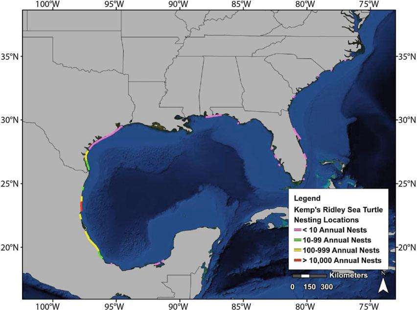 1210 R.A. Valverde and K. Rouse Holzwart Figure 11.10. Generalized nesting beach locations of the Kemp s ridley sea turtle in the Gulf of Mexico and southeast U.S.