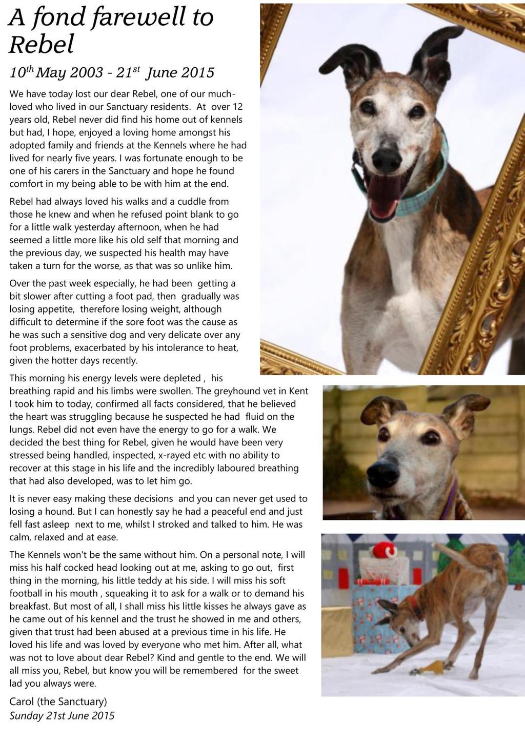 Charity Updates Wimbledon Greyhound Welfare The Club has