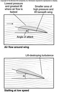 Over two-thirds of the total lift comes from negative pressure from the airstream flowing a longer distance over the top of the wing, the convex surface.