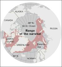 Range 25,000-45,000 left, listed as Near Threatened by IUCN Habitat range is mostly the Atlantic Arctic,