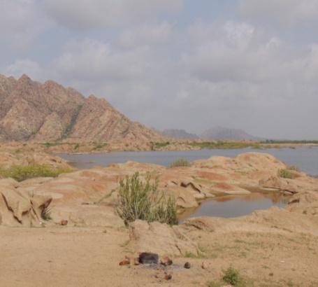 Ghantiyari Dam Area Review of recent surveys regarding vultures in Sindh. 1.