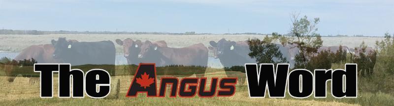 Canadian Angus Newsletter March 2016 Good day, everyone!