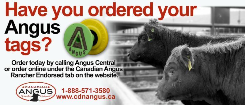 Mark your Calendars April 15th: Deadline for Outstanding Young Angus Breeder nominations April 15th: Deadline for Junior Angus