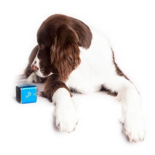 Pet Acoustics Since 2009 Pet Acoustics innovations have helped thousands of pets and owners worldwide with products clinically tested and approved by