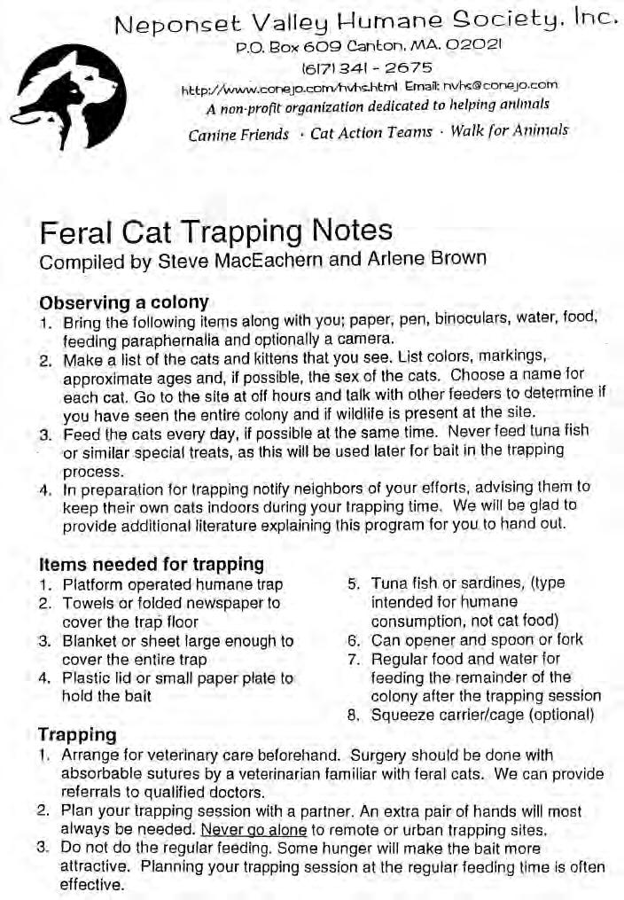 Feral Cat Trapping