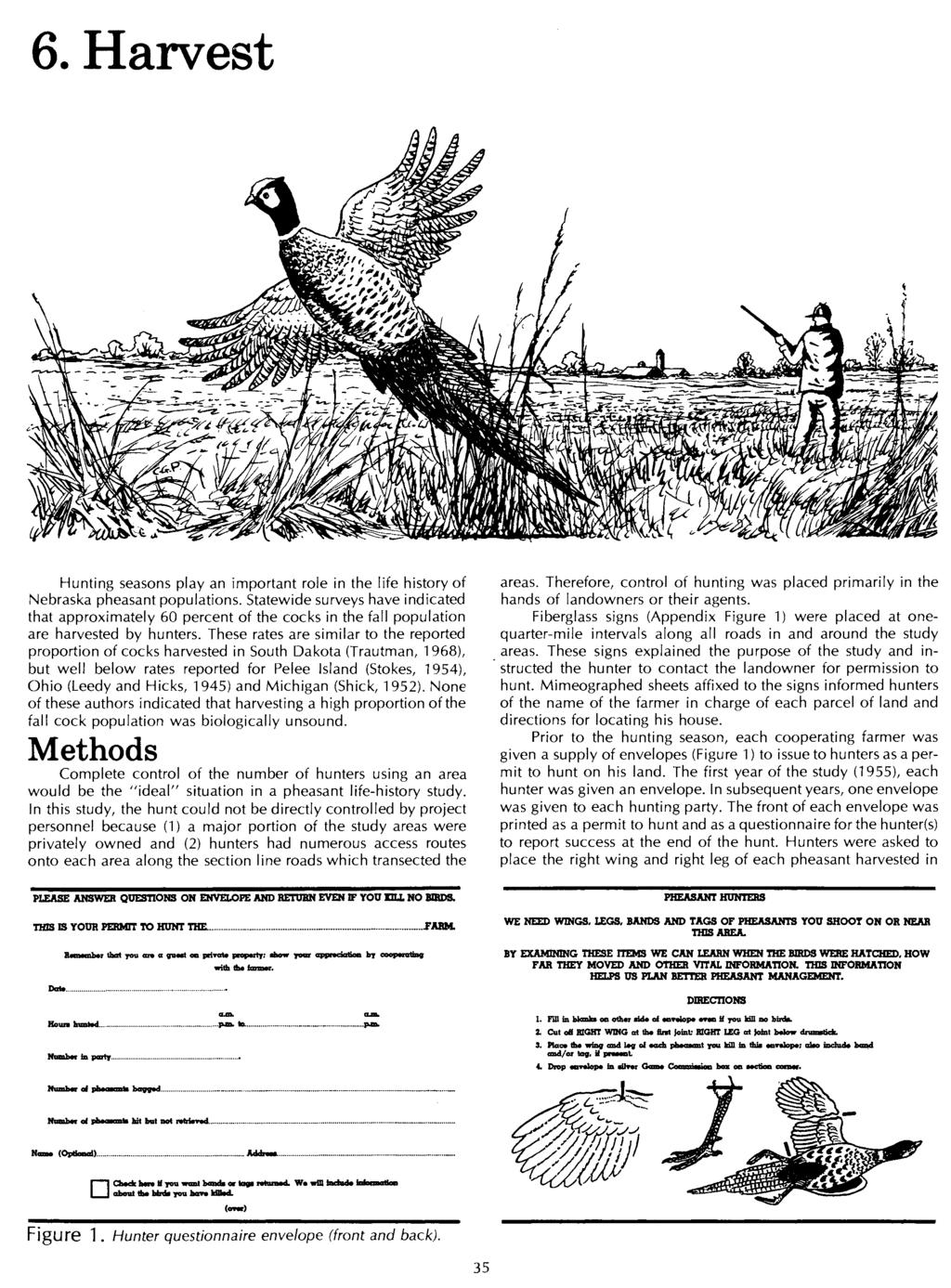 6. Harvest Hunting seasons play an important role in the life history of Nebraska pheasant populations.