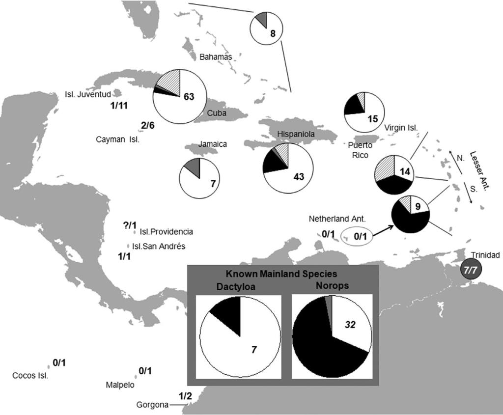 312 E. A. D. PAEMELAERE ET AL. Figure 3. Geographical distribution of female polymorphism in anoles.