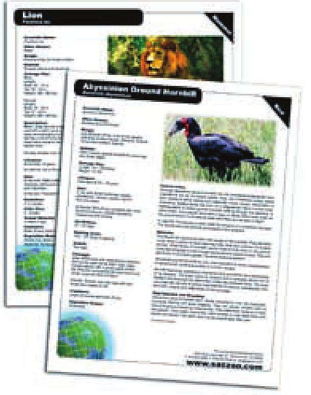 Teacher Loan Kits Photos of Teacher Resources on under the Education tab.. Birds: Great for teaching about adaptations to environment (e.g. Grade 1, 3, 4, 6 Science Standard).