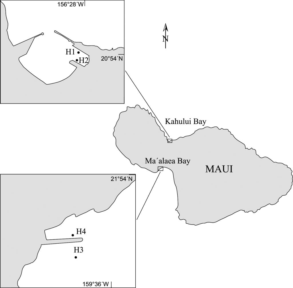 Ostracoda (Myodocopina) of the Hawaiian Islands. Kornicker et al. 237 Figure 4. Map of Maui showing location of stations sampled by P. Reath.