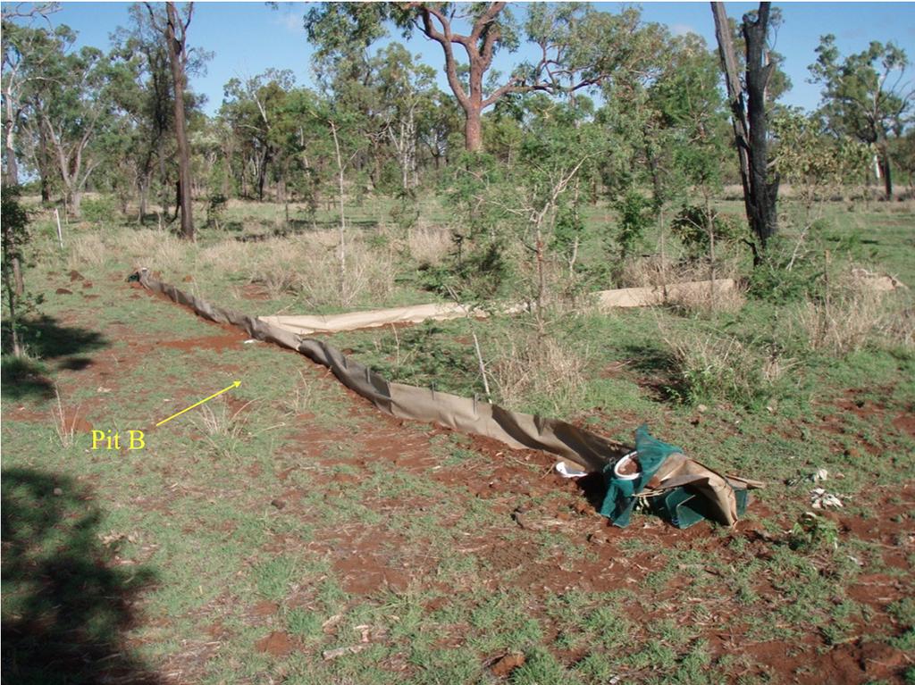 Kutt & Vanderduys Figure 1. The pitfall trap array indicating the central bucket, Pit B (Photo by Eric Vanderduys). northern tropical savannas.