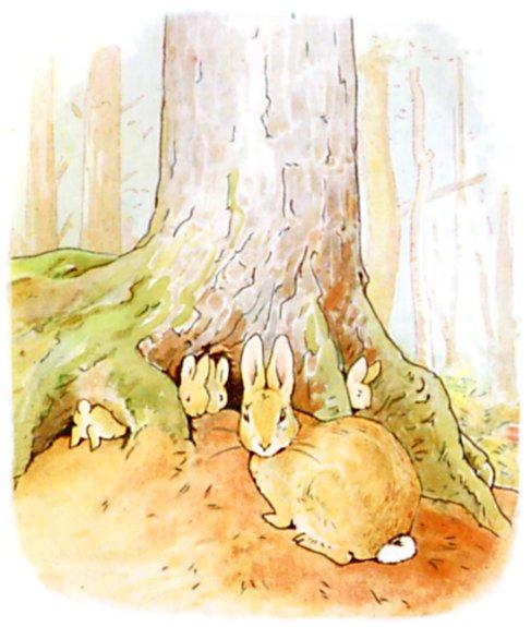 Once upon a time there were four little Rabbits, and their names were Flopsy, Mopsy, Cotton-tail,