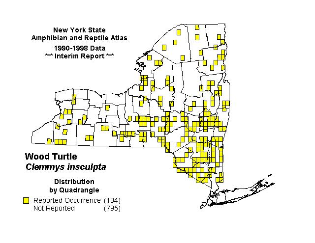 Figure 3. Illustration of Wood Turtle, Clemmys insculpta, distribution in New York State (Herp.