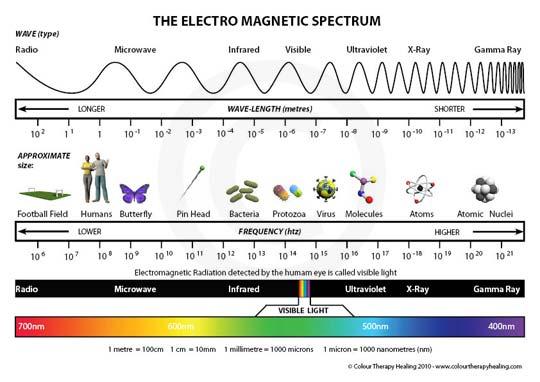 Electromagnetic spectrum Station 4 We think we see everything, but we only SEE a tiny section of the electromagnetic spectrum. Other creatures see other parts of the spectrum.