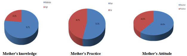 Fig. (1): Mother's knowledge, Practice and Attitude towards Antibiotic Use with their Children: Fig.