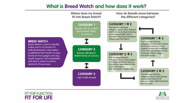 BREED STANDARDS AND CONFORMATION SUB-GROUP REMIT l To advise on conformation related health issues as they relate to Breed Standards.