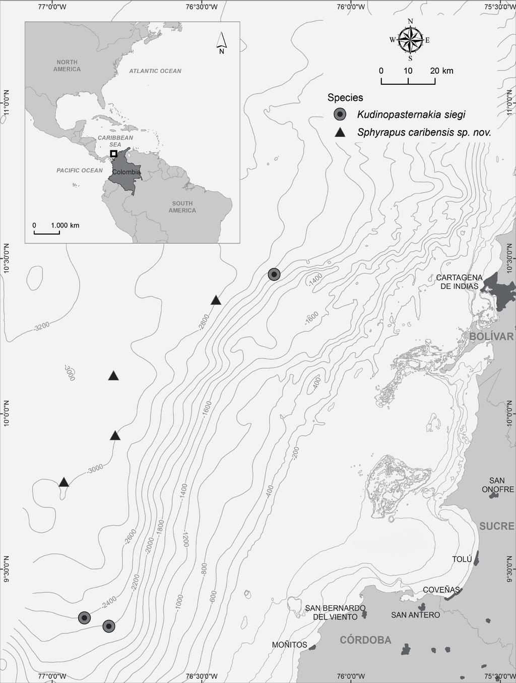 Figure 1 Map of study area, indicating the sampling stations where Kudinopasternakia siegi and Sphyrapus caribensis sp. nov. were found. Full-size DOI: 10.7717/peerj.