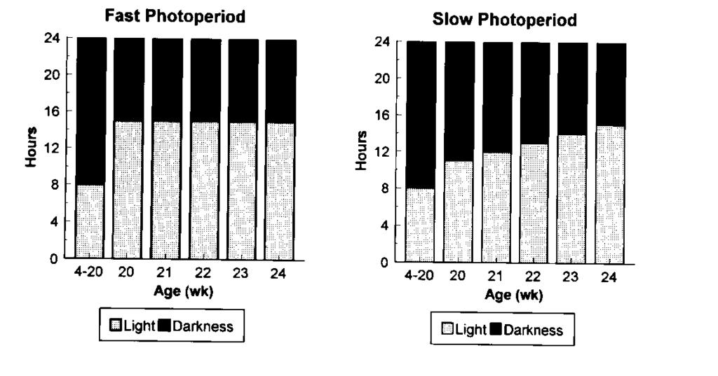 ROBINSON ET AL. REPRODUCTIVE DEVELOPMENT IN BROILER BREEDERS 605 Fig. 1. Histograms of the changes in daylight between 20 and 25 wk of age in the FP and SP photostimulation treatments.