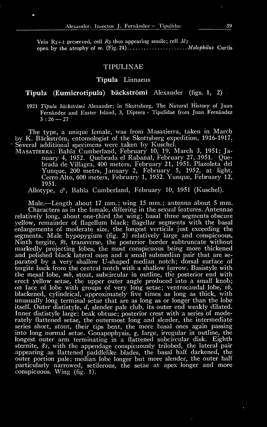 1, 2) 1921 Típula báckstrómi Alexander; in Skottsberg, The Natural History of Juan Fernández and Easter Island, 3, Díptera - Tipulidae from Juan Fernández 3 : 26 27 The type, a unique female, was