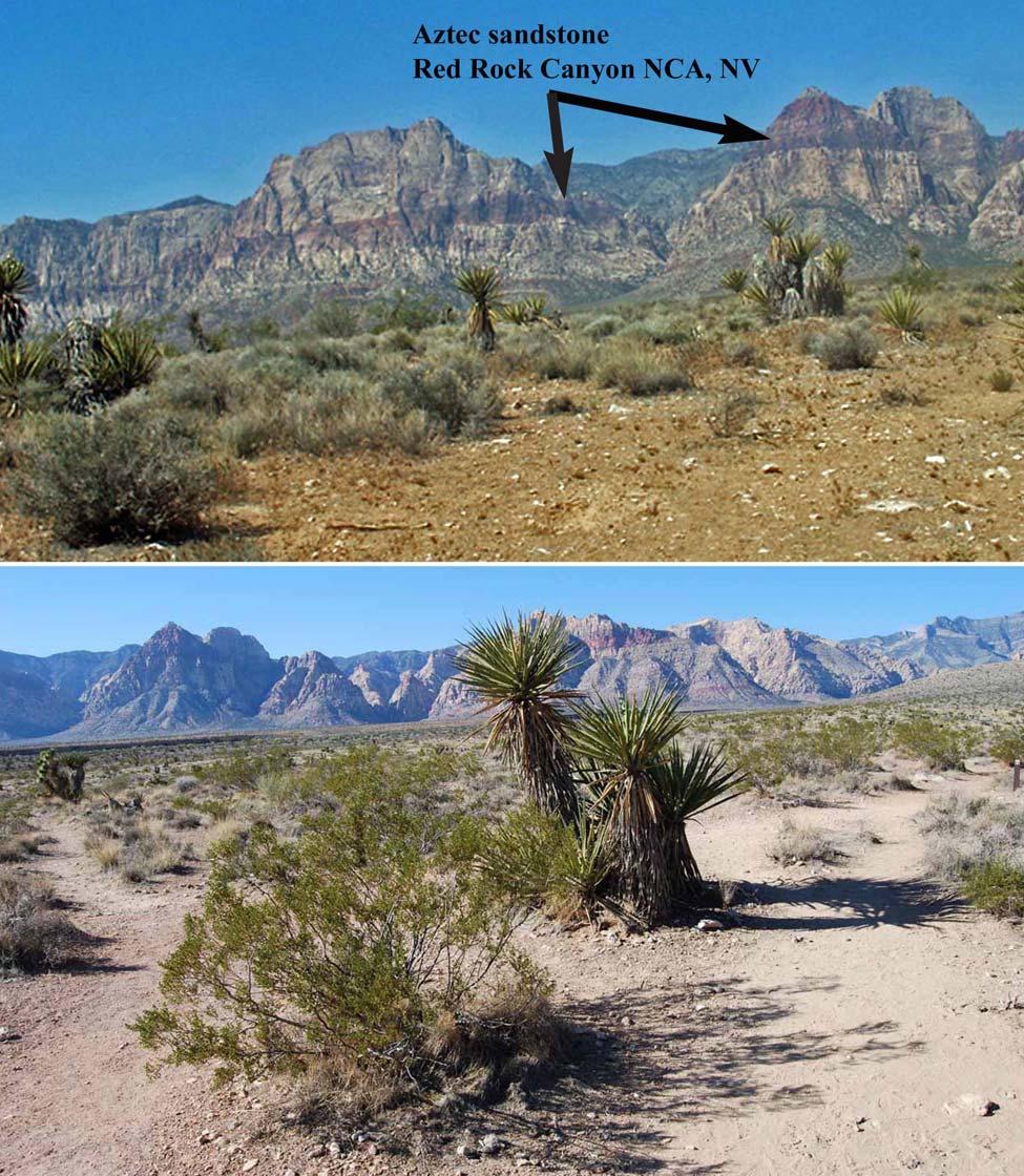 ALEYRODINE WHITEFLIES OF CLARK COUNTY, NEVADA INSECTA MUNDI 0140, October 2010 3 Figure 1-2. Nevada localities. 1) Aztec sandstone. 2) Desert shrubs (Mojave).