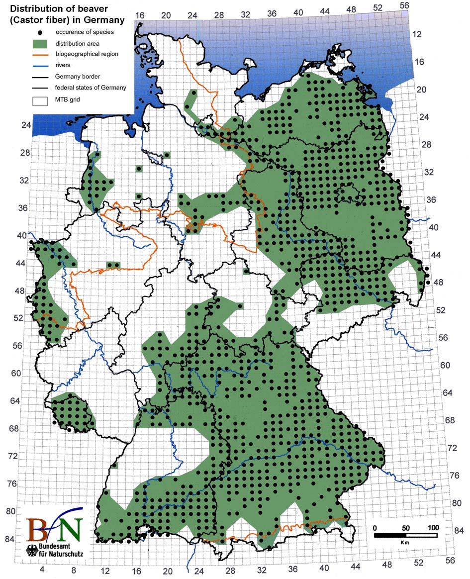 64 K.-A. Nitsche Fig. 2. Distribution of beaver (Castor fiber) in Germany, 2013. Source: Bundesamt für Naturschutz, BfN). in late winter, when other food is hard to find.