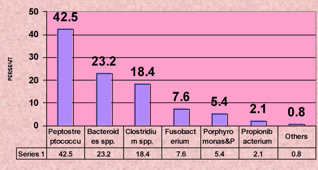 Susceptibility of these bacteria were as following: Cefizoxim100%, Ciprofloxcin 98%, Ceftazidim 82%, Tobramycin 47%, and Amikacin 33%.