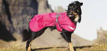 Adjustable fit Waterproof Houndtex cherry Summit Parka 931834-20cm Chihuahua, Pomeranian 931835-25cm Chihuahua, Papillon, Toy Poodle 931836 931849 30cm Miniature Pinscher,