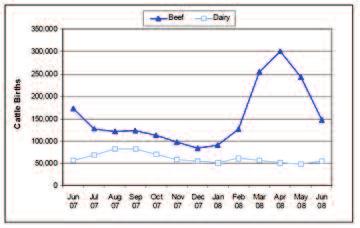 Figure 1.7. Cattle Births June 2007 to June 2008 (Cattle Book 2008) 1.2. The parasites Unlike the situation with sheep, there have been few studies on the epidemiology of cattle endoparasites in recent years.