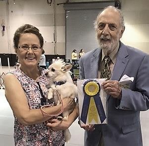 Woofer October- 6 World s Smallest H.I.T. Man All-American Winner Graham Cracker took High In Trial at the Raleigh Kennel Club show on Labor Day.