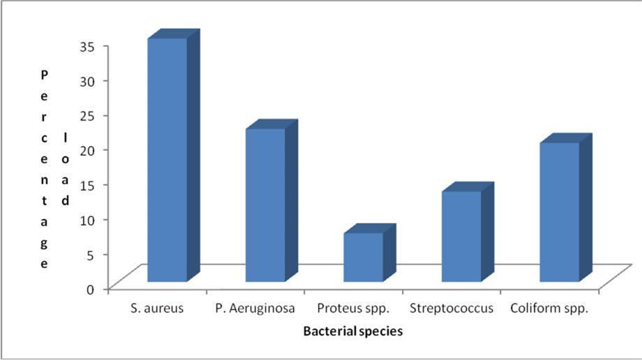 Figure 5: Percentge distribution of bcteril specie in study popultion.
