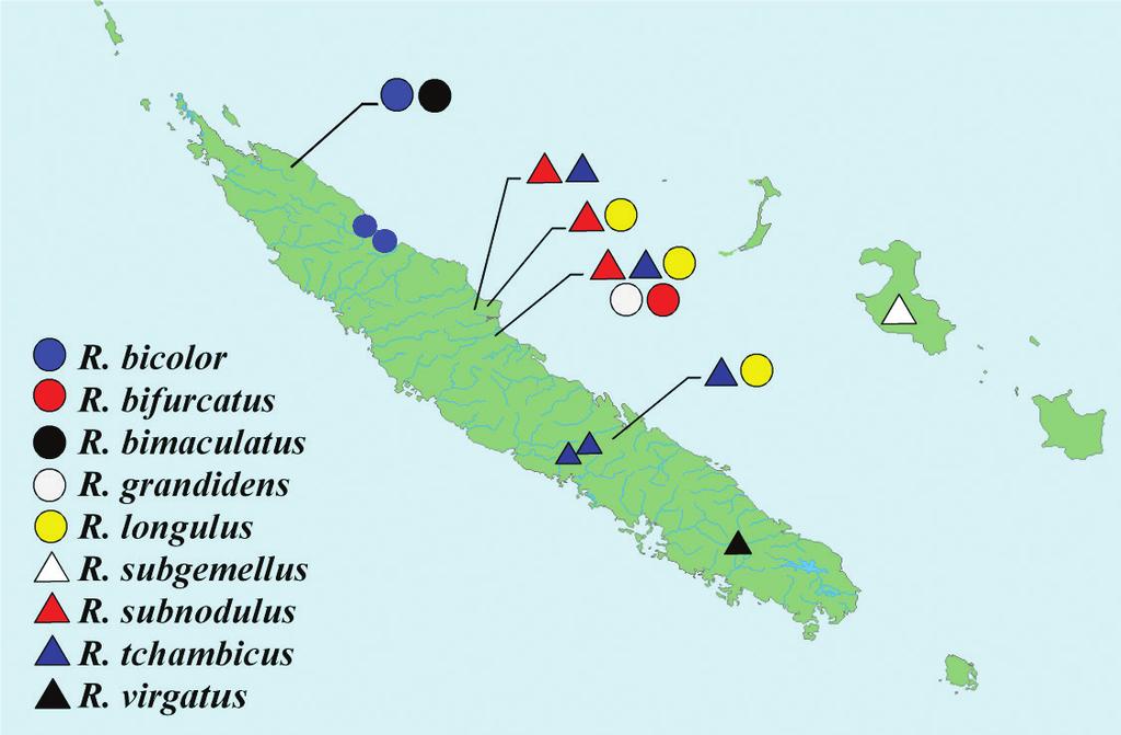 A new genus and nine new species of Eugnomini (Coleoptera, Curculionidae)... 91 Map 1. Distribution of species from genus Rasilinus gen. n. in New Caledonia.