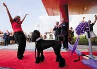 In 2010 Nestlé Purina celebrated the opening of its multimillion-dollar, state-of-the-art, 84,000-square-foot indoor Purina Event Center in Gray Summit, Mo.