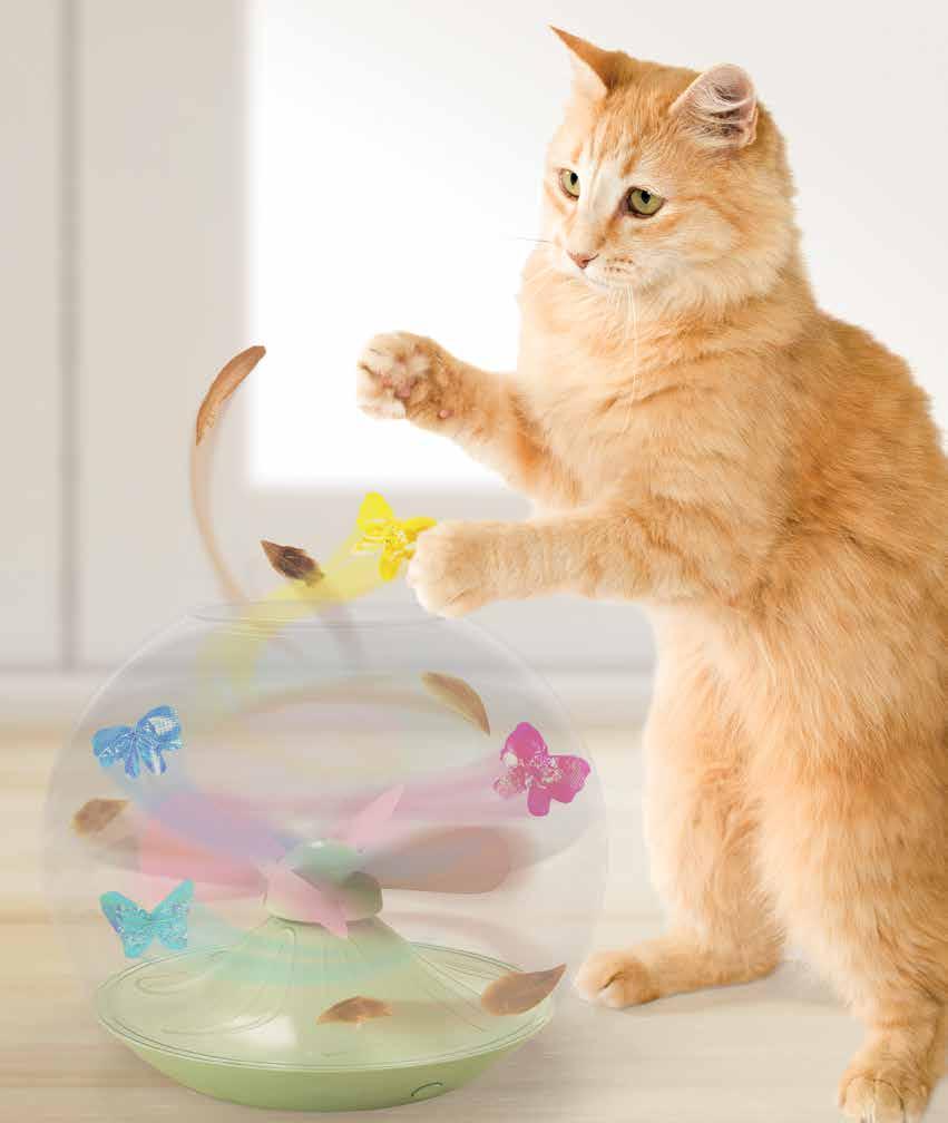 Flitter Fly blows toys around the bowl with a gentle,