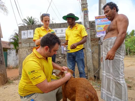 perhaps using a technique similar to that of Goa where the surveyors will talk to owners about the vaccination status of their dogs and not only relying on