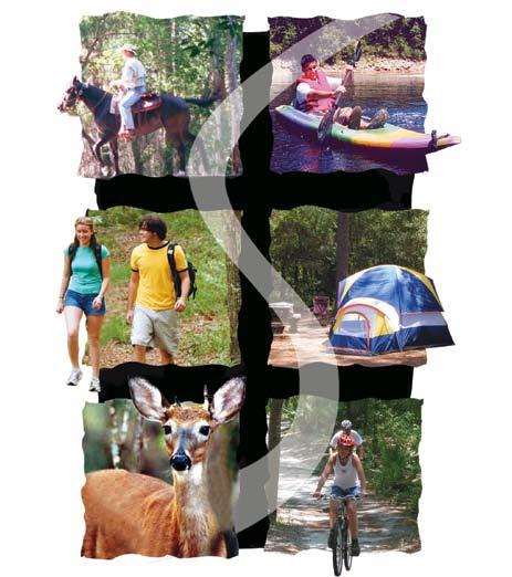 Suwannee River Wilderness Trail This Discovery Pack is designed to help you plan your