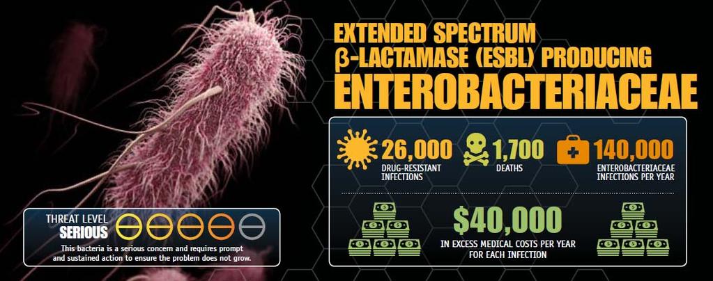 ESBL Positive organisms E. coli!