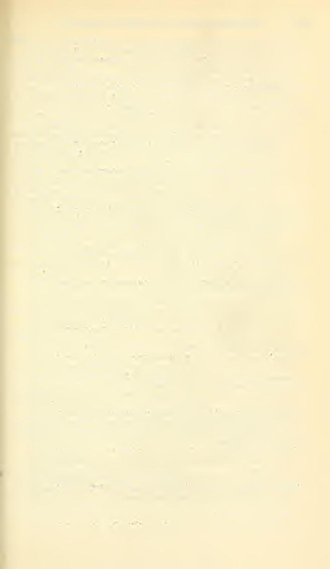 i I GENERA AND SUBGENERA OF BEES SANDHOUSE 531 Binghamiella Cockerell. Bull. Amer. Mus. Nat. Hist., vol. 23, p. 235, 1907. Sphecodes antipodes F. Smith, 1853. (Monobasic.) Eirkmania Viereck. Proc.