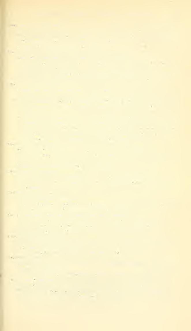 GENERA AND SUBGENERA OF BEES SANDHOUSE 537 Chalcosmia Schmiedeknecht. Apidae Europaeae, vol. 2, p. 20 [886], 1884-6 [1885]. Twenty-one species. Ajiis fulmventris Panzer, 1798.