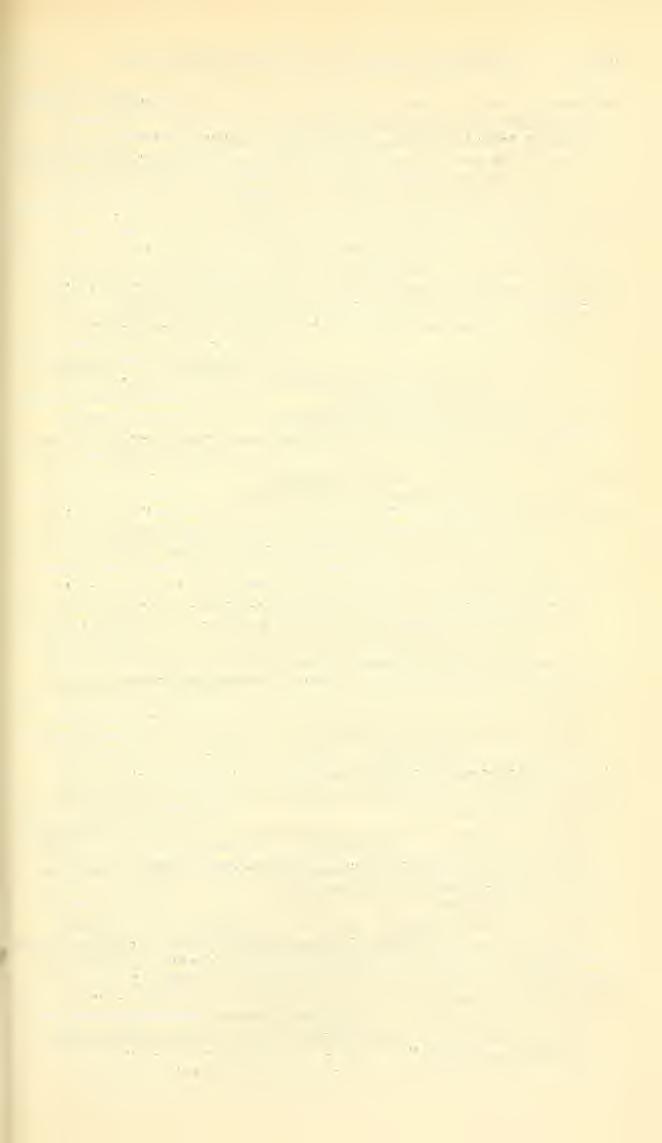 GEXERA AND SUBGENERA OF BEES SANDHOUSE 549 Epinomia Ashmead. Trans. Amer. Eat. Soc, vol. 26, p. 88, 1899. {No)nia persimilis Cockerell, 1893)=IVoTOJa trianguufera VACnAr, 1897.
