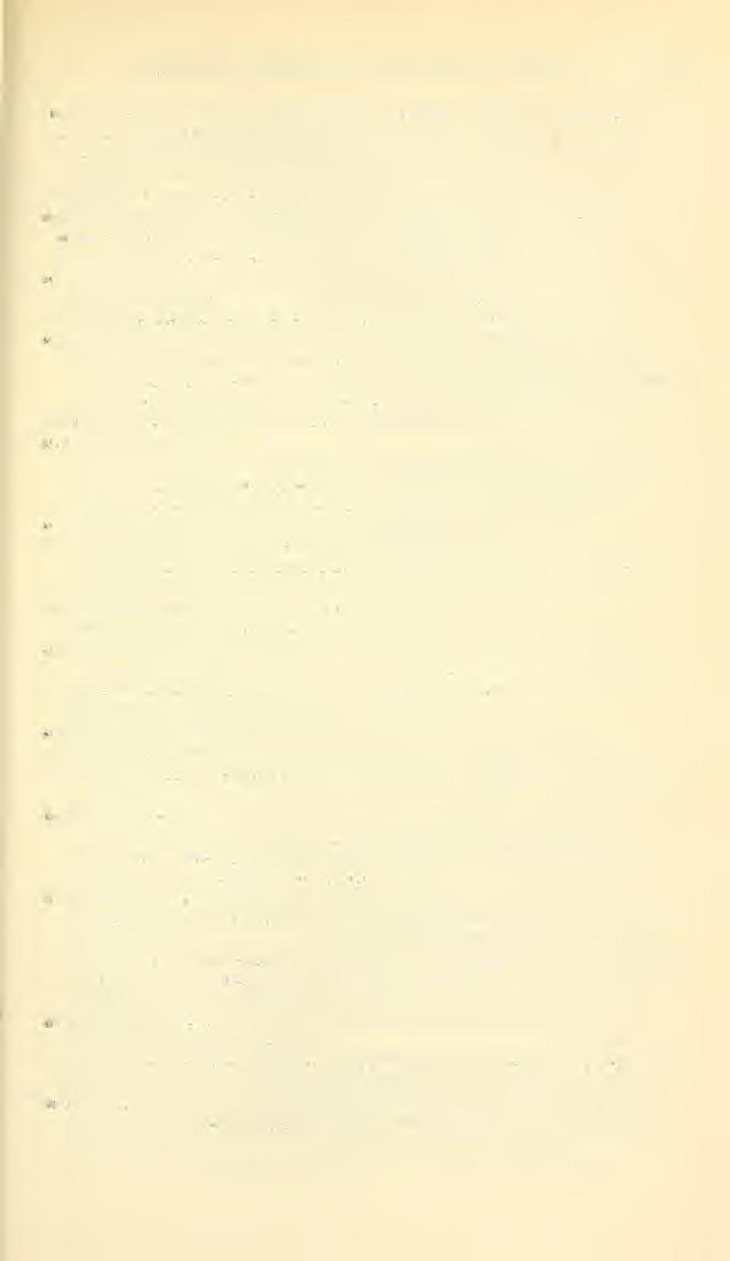 GENERA AND SUBGENERA OF BEES SANDHOUSE 569 (Mehelya Popov, not Csiki, 1903 =Barbata Mehely, 1935, not HuMPHRErir, 1797, not SwAiNSON, 1840) =Melielyana, new name. Compt. Rend. (Doklady) Acad. Sci. U.