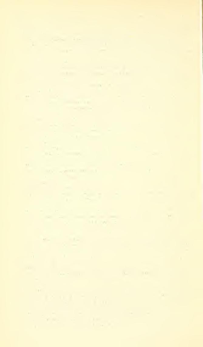 (302 PROCEEDINGS OF THE NATIONAL MUSEUM vol.92 Straudiella Feiesk Arch. Natnrg., Jahrg. 78, Abt. A, Heft 5, p. 18, 1912. Sis species. Strand ieua longula Fkiese, 191'J.