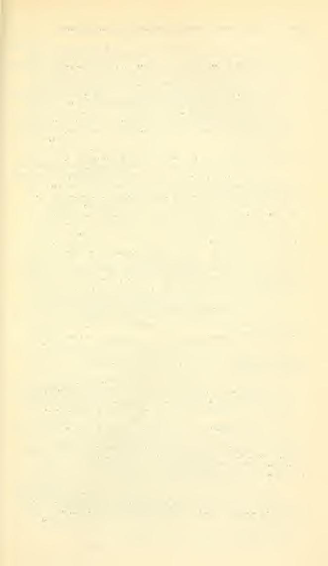 ) GEXERA AND SUBGENERA OF BEES SANDHOUSE 603 Tanguticobombus Pittioni. Zool. Anz., vol. 126, p. 201, 1939. Bombus tanyiiticus Morawitz, 1886.