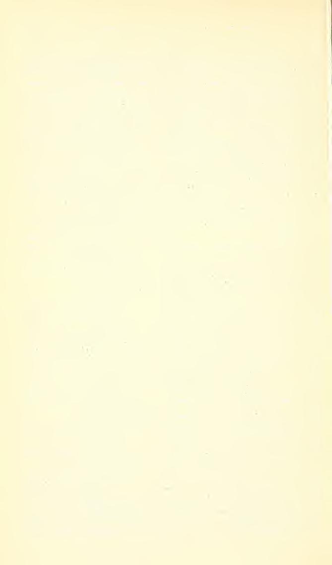 . 612 PROCEEDINGS OF THE NATIONAL MUSEUM Page cristariae Jorgenseu, Holmbergeria 558 cristata Fonscolombe, [Megachile] Pseudosmia 594 cucurbitma Rossi, [Apis] Ceratina.