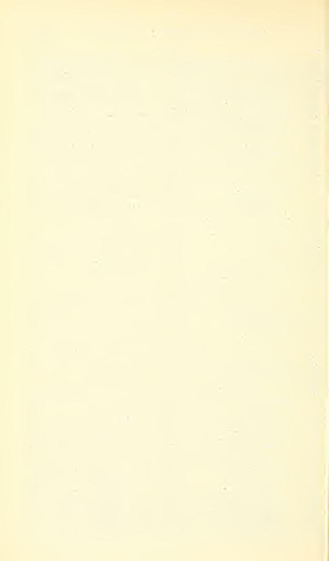 . 616 PROCEEDINGS OF THE NATIONAL MUSEUM VOL. 92 Page 'oblongatum Latrcille, [Anthidium] Proanthidium _ 590 obscura Swpak, Viereckella 607 ochracea Cockerell, Daslapis.