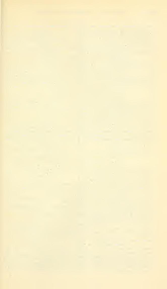 . punctata Fabricius, [Apis] (Centris) Melecta- INDEX 617 Page 57U [Apis] (Centris) Symmorpha --- 602 punctalus Fabricius, [Epeolus] Phileremus.