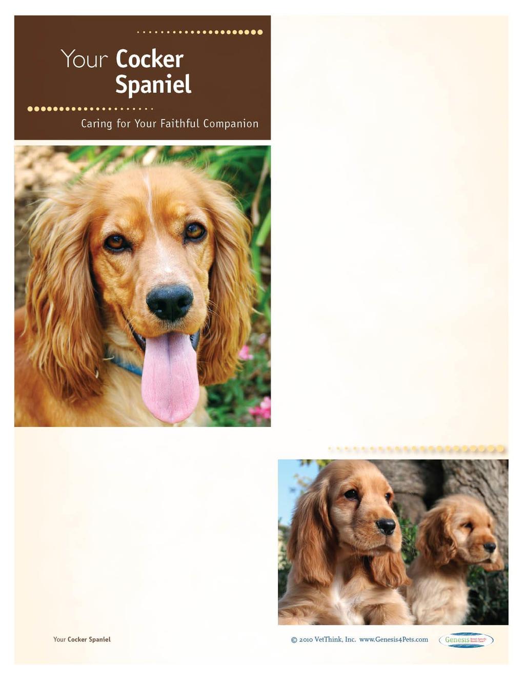 Cocker Spaniels: What a Unique Breed! Your dog is special! She s your best friend and companion and a source of unconditional love.