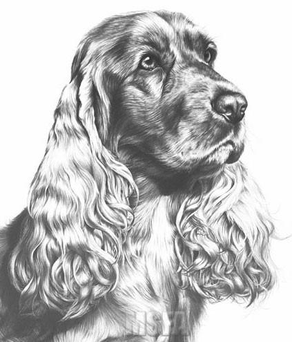 CHESHIRE COCKER SPANIEL CLUB SCHEDULE UNBENCHED 20 CLASS OPEN SINGLE BREED SHOW (Held under Kennel Club Limited Rules and Regulations) To be held at Hough Village Hall, Cobbs Lane, Crewe CW2 5GZ ON